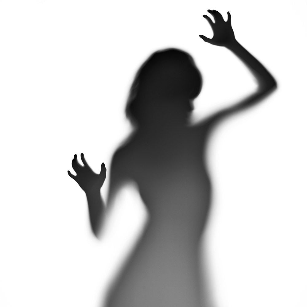 Rouleau de fond léger Savage Translum 60"x18'