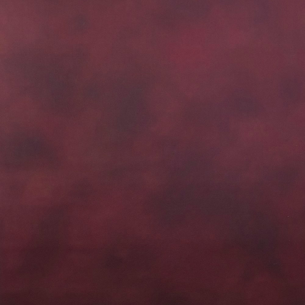 Toile de fond peinte sauvage écarlate