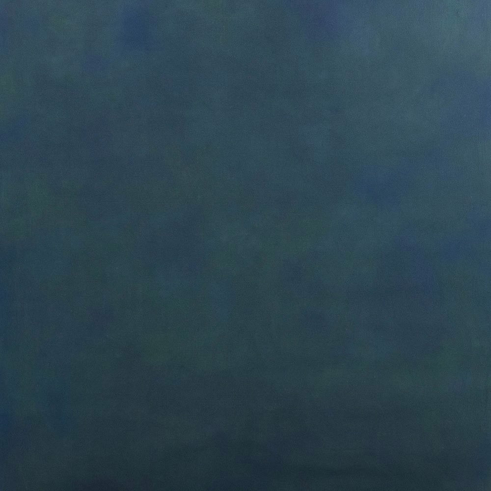 Toile de fond peinte sauvage alpine