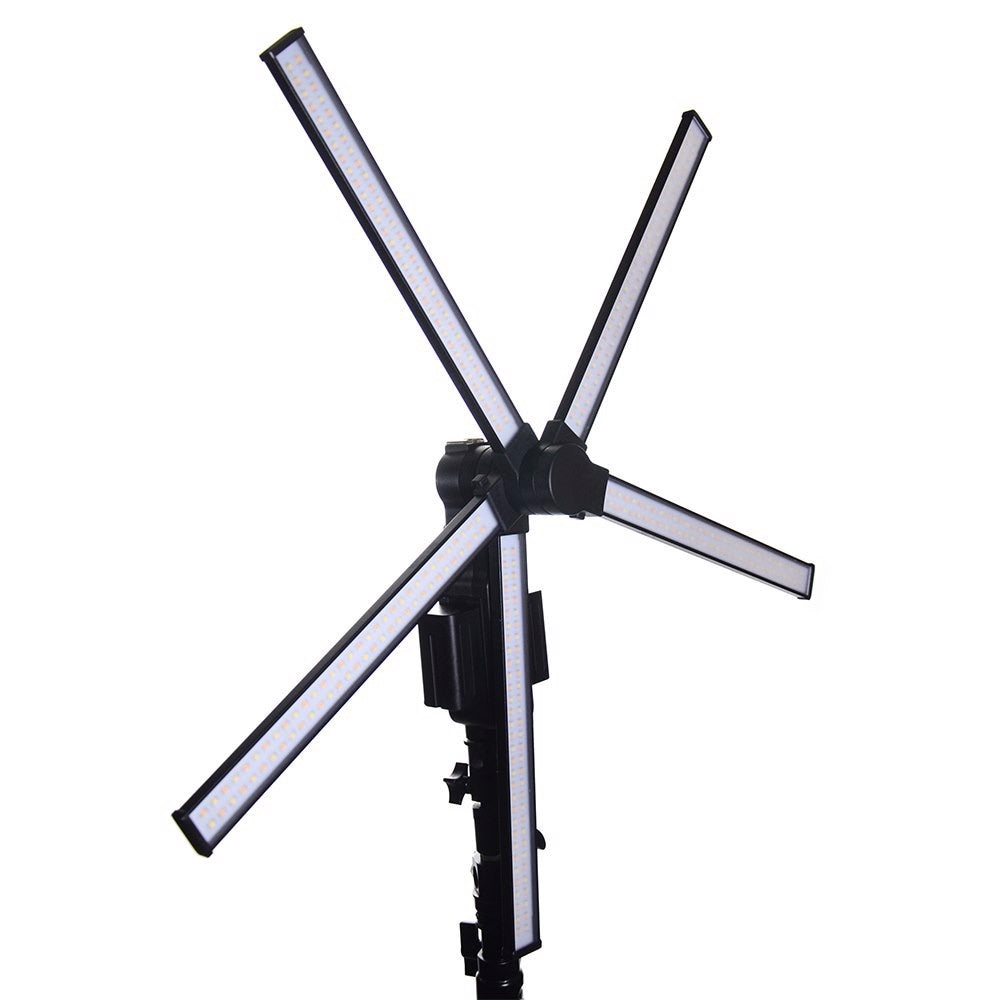 Lumière LED étoile sauvage