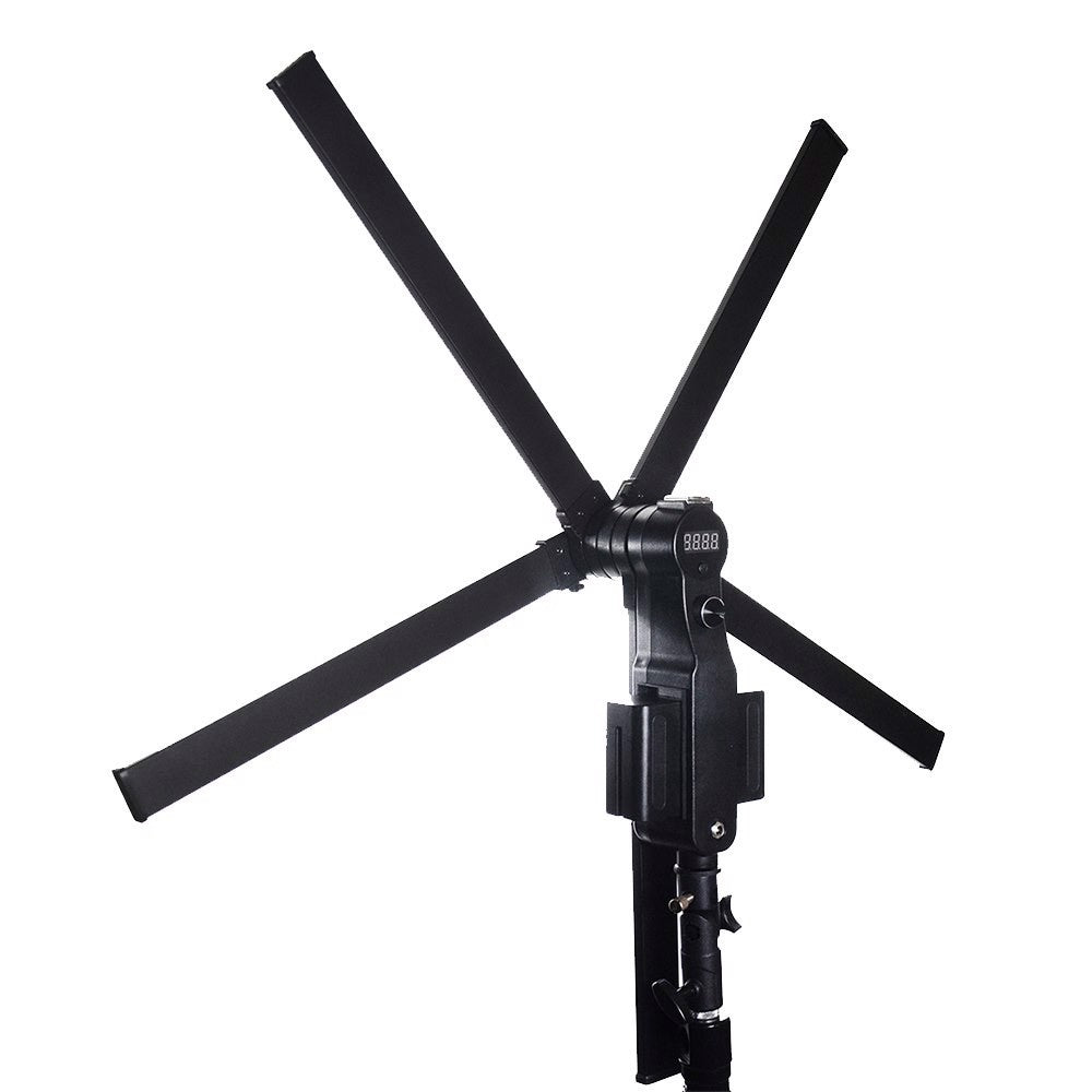 Lumière LED étoile sauvage