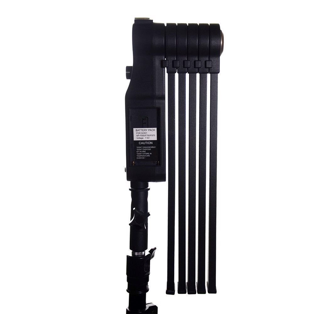 Lumière LED étoile sauvage