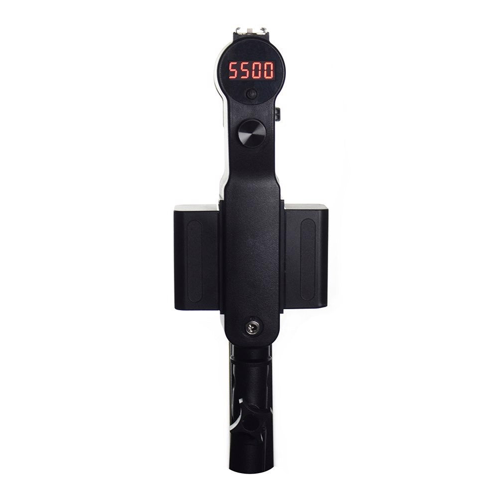 Lumière LED étoile sauvage