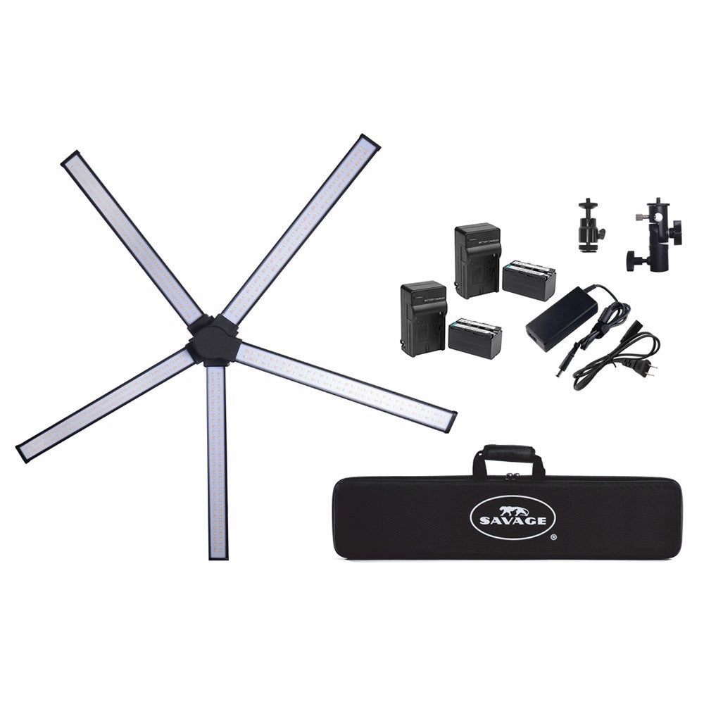 Lumière LED étoile sauvage