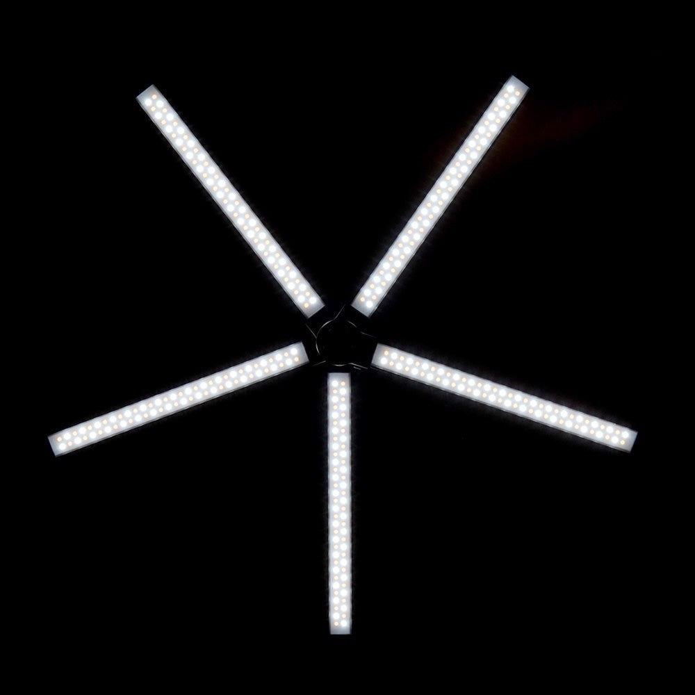 Lumière LED étoile sauvage