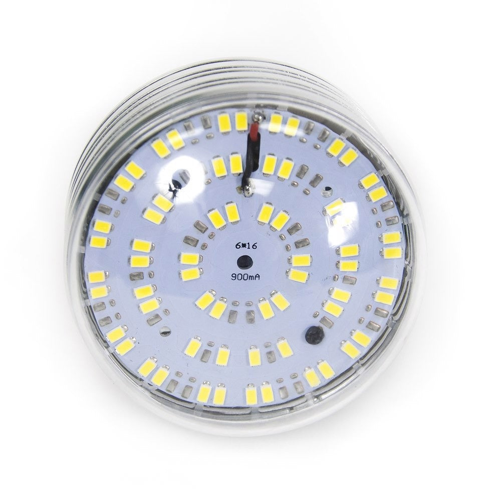 Ampoule LED Savage 250 W avec télécommande