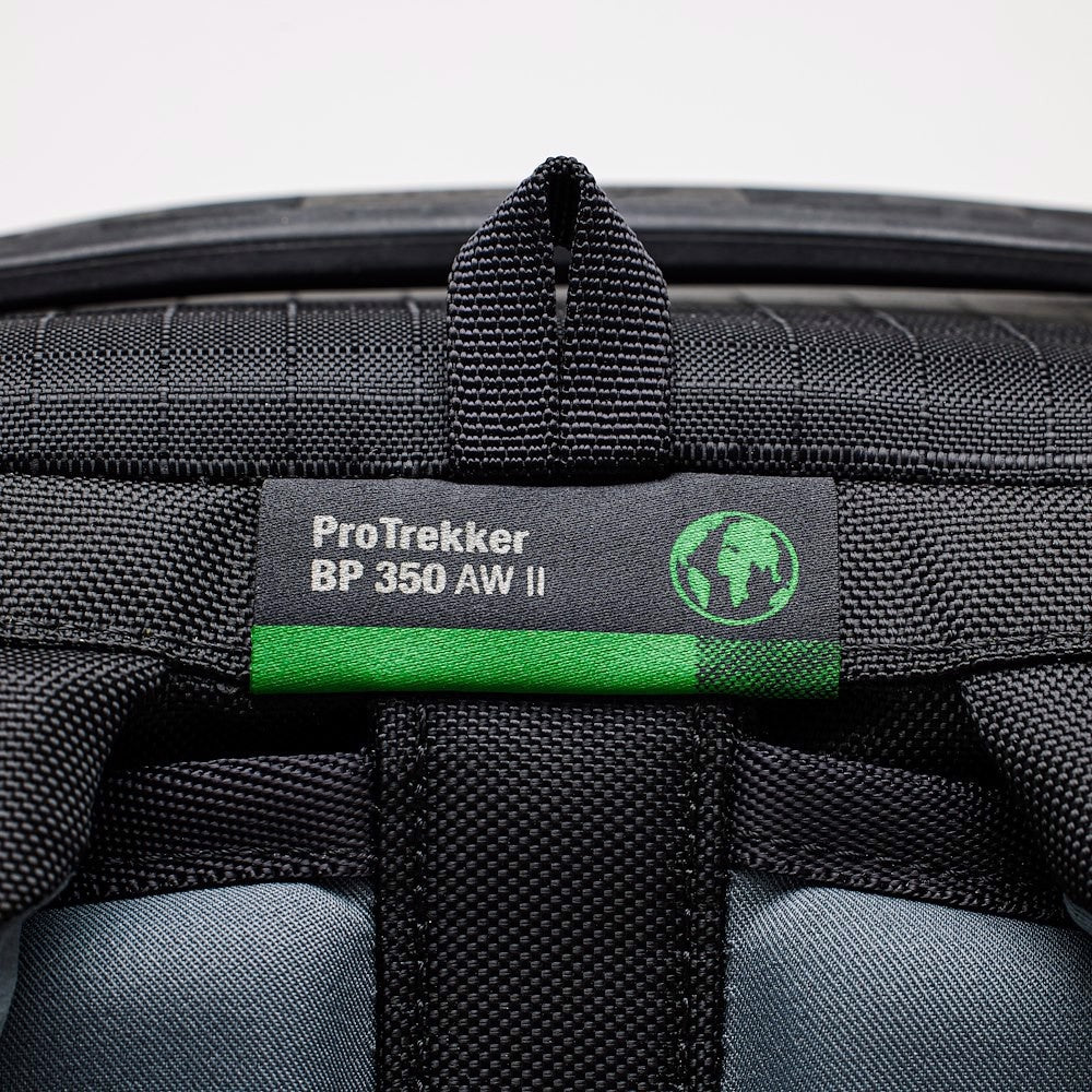 Lowepro Pro Trekker BP 350 AW II Gris