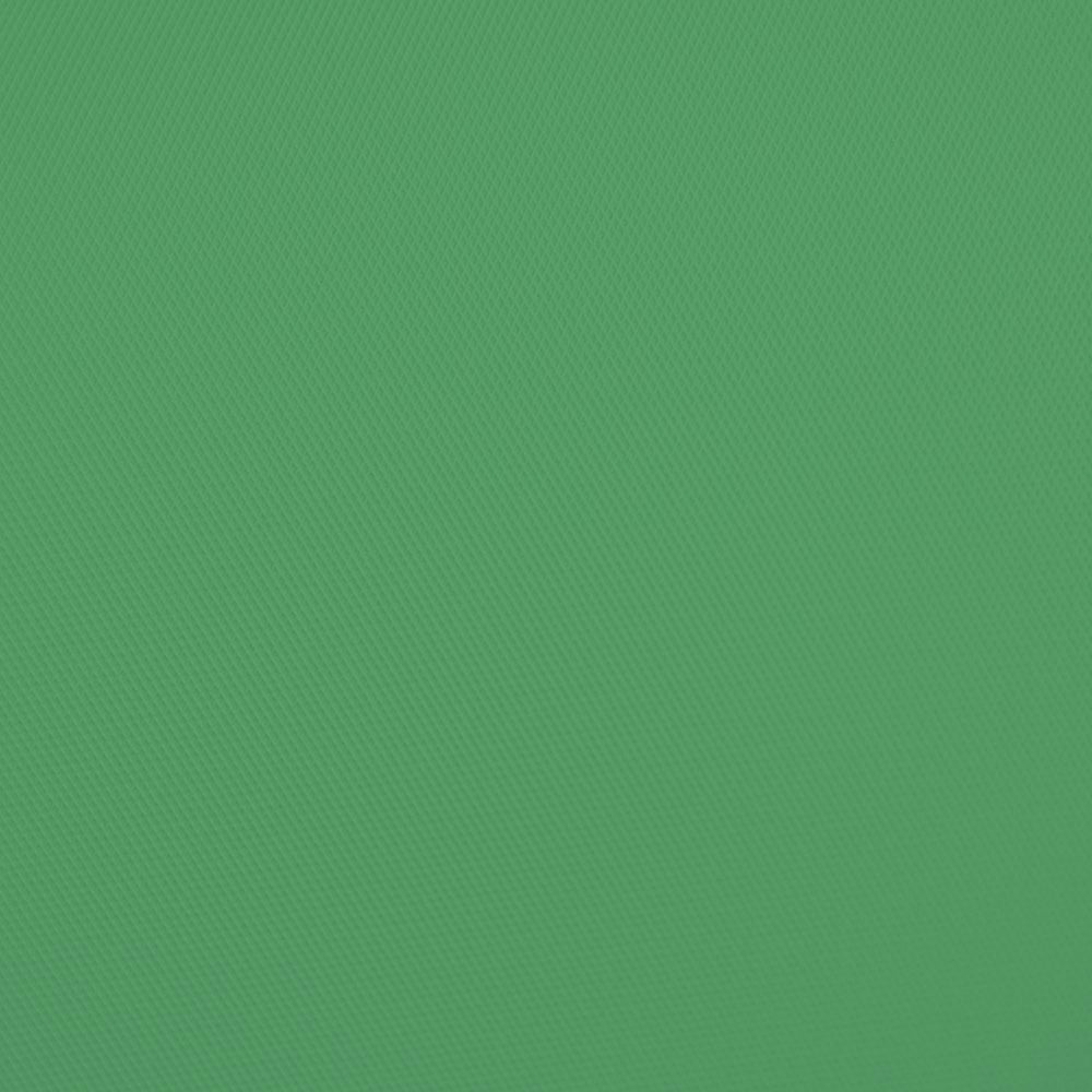 Fond en vinyle solide Savage Chroma Green