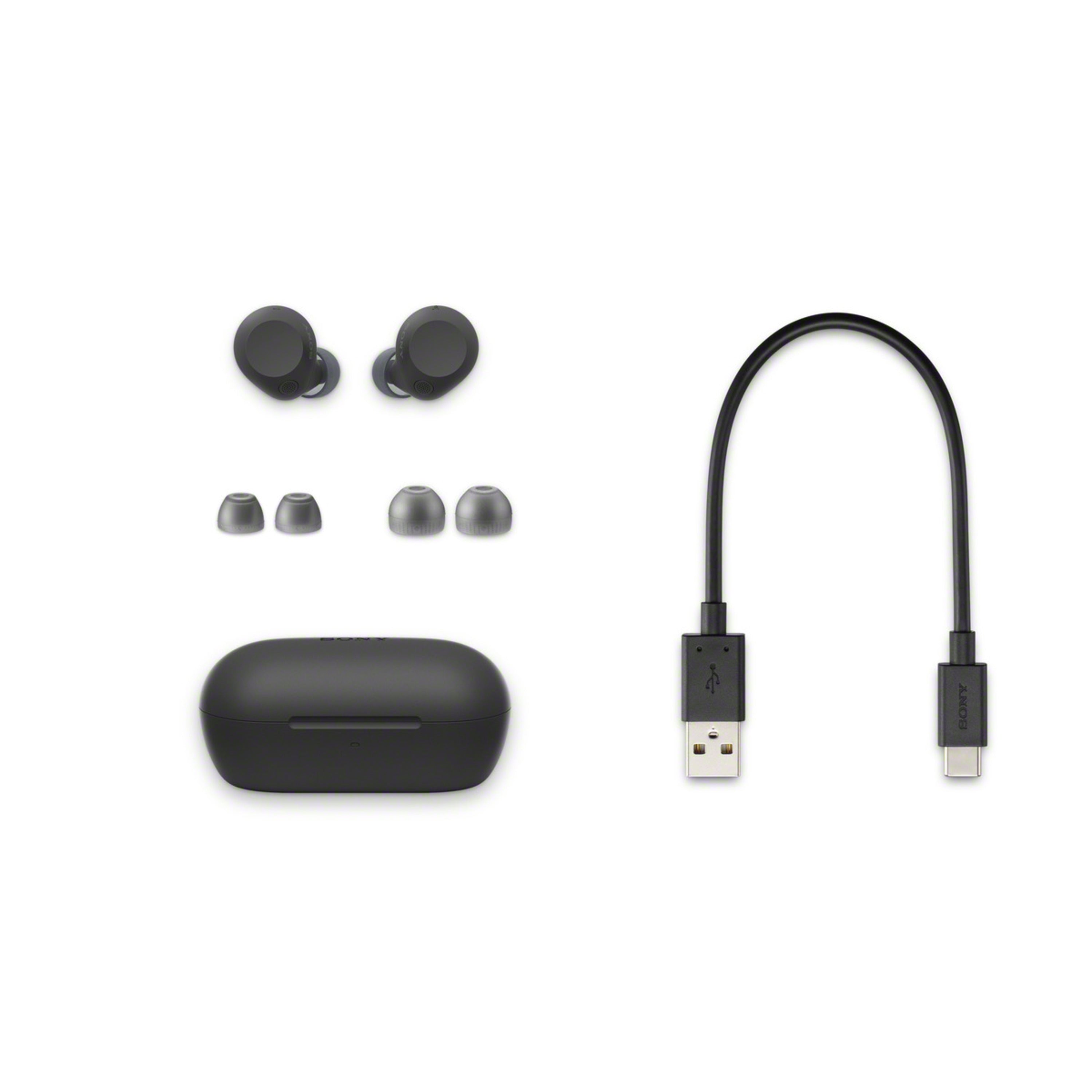 Sony WF-C710N Truly Wireless Noise-Cancelling Earbuds