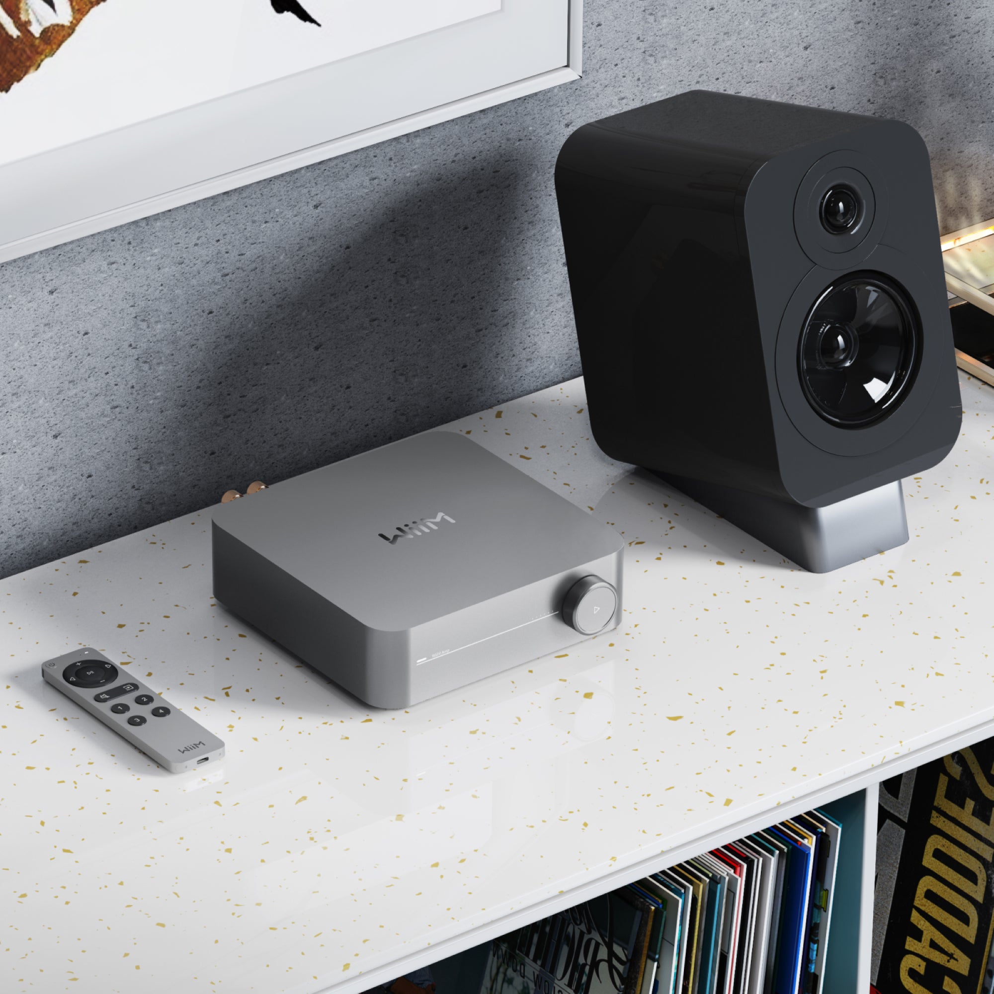 Accessoire pour télécommande vocale WiiM 2