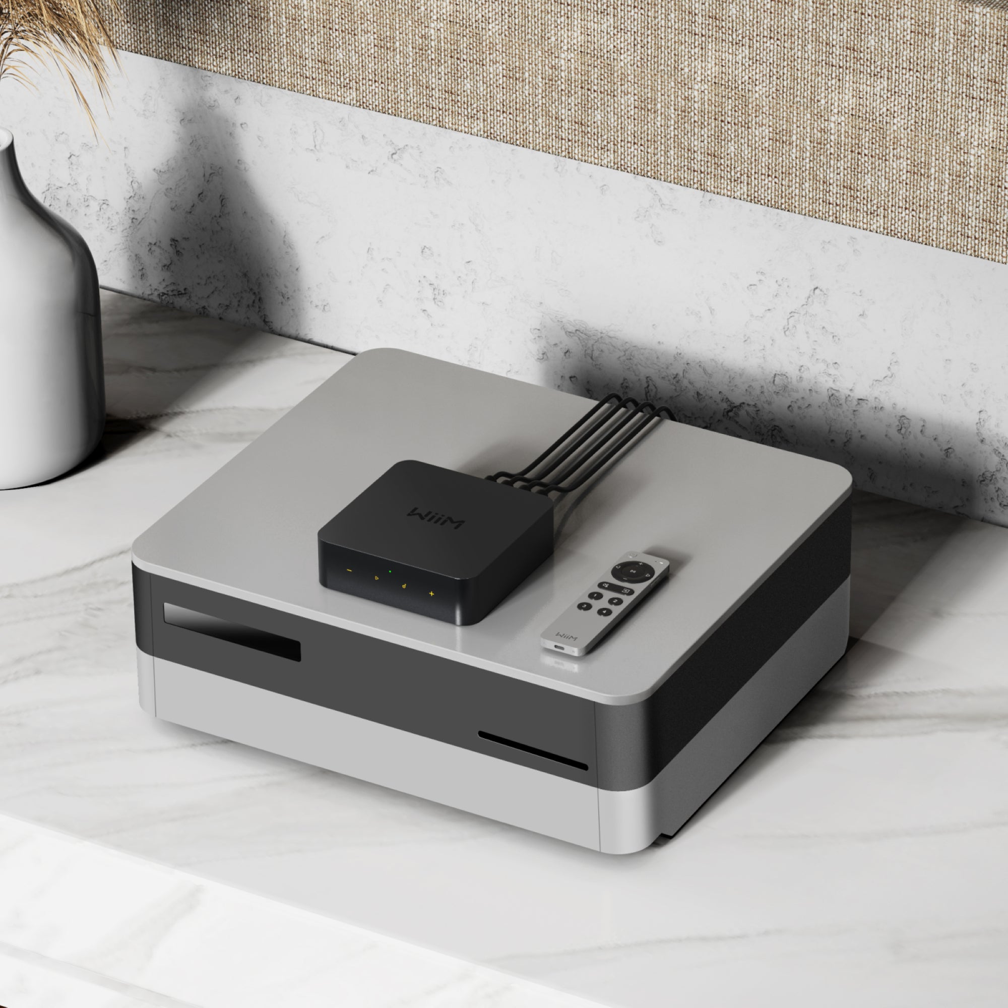 Accessoire pour télécommande vocale WiiM 2