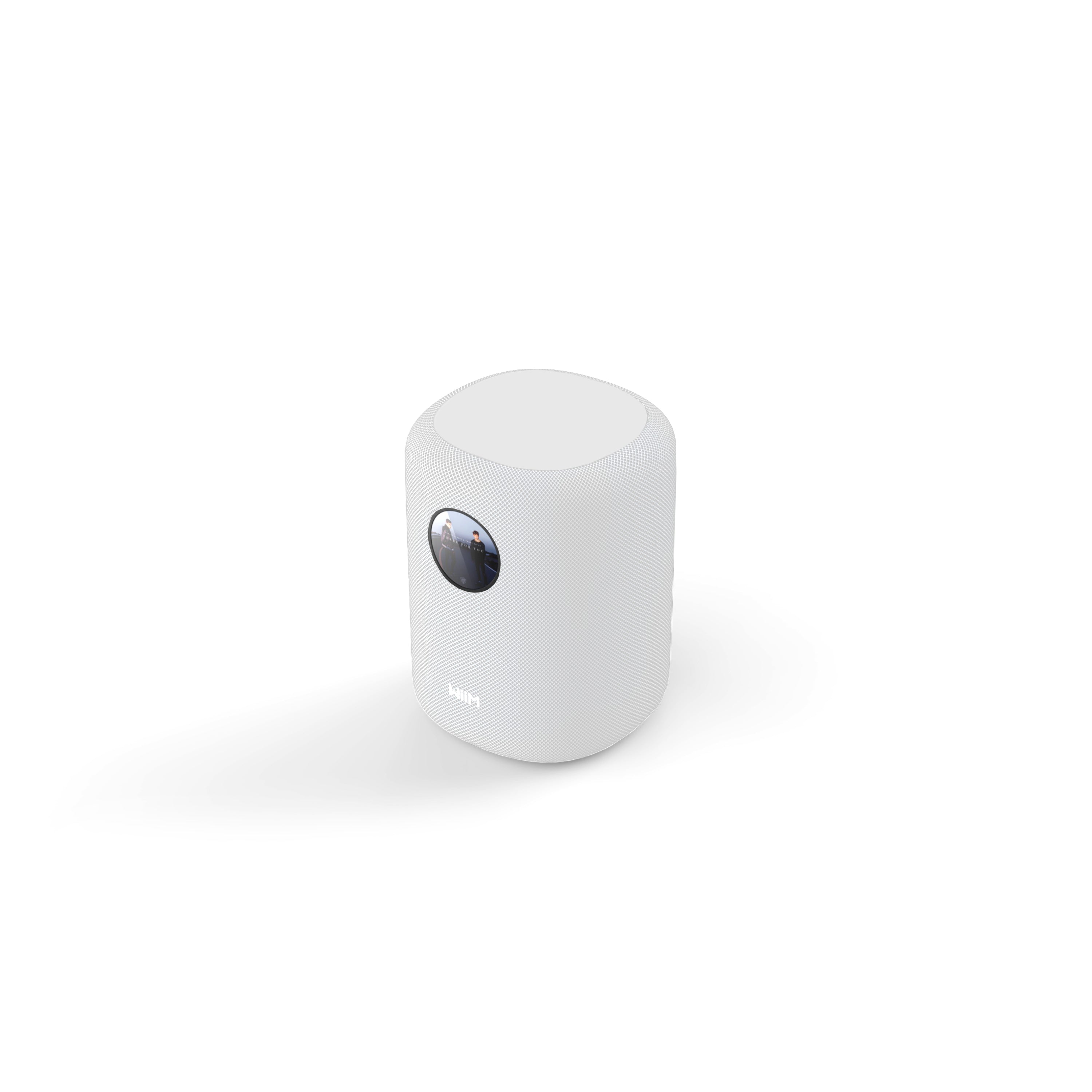 WiiM Sound Smart Wireless Streaming Speaker