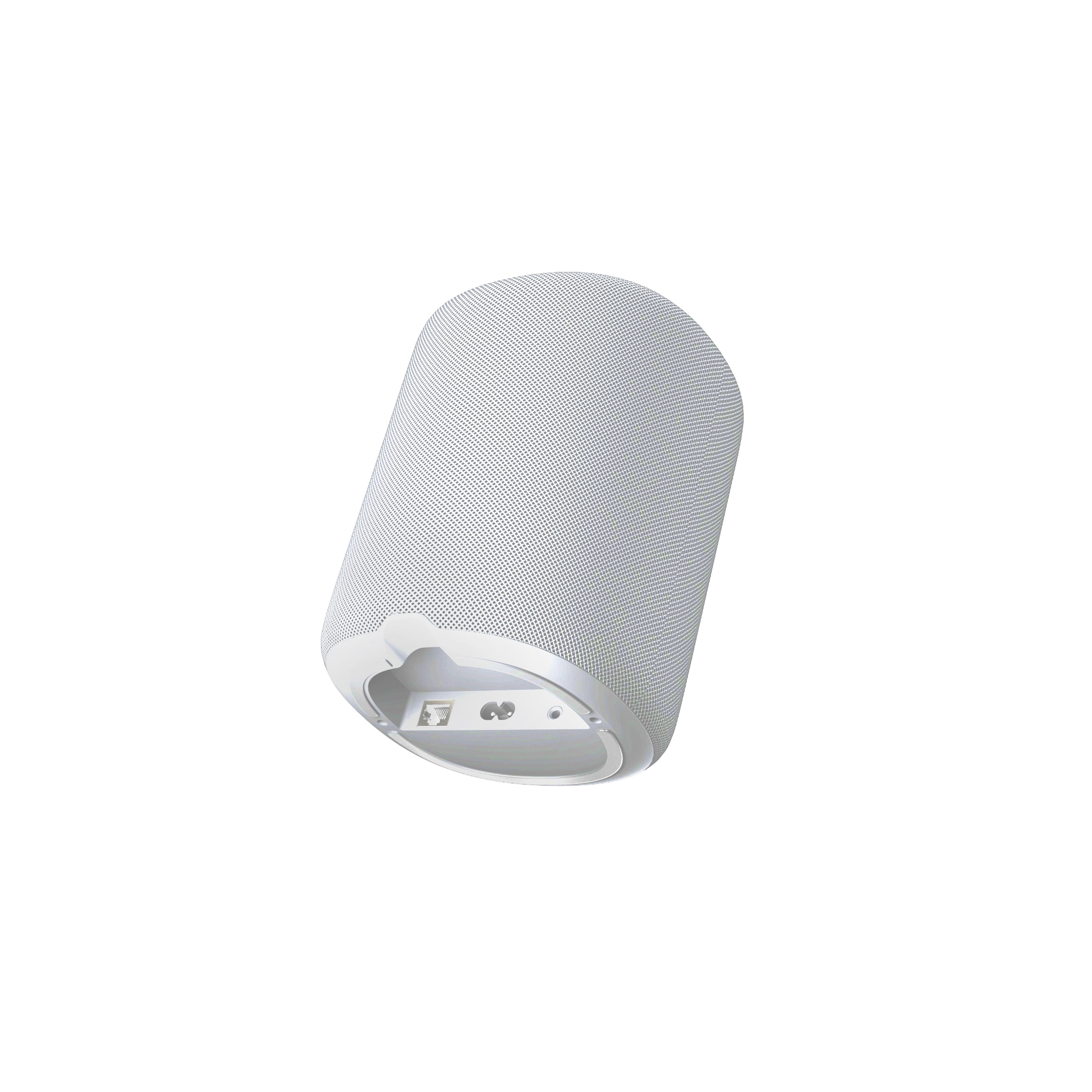 WiiM Sound Smart Wireless Streaming Speaker