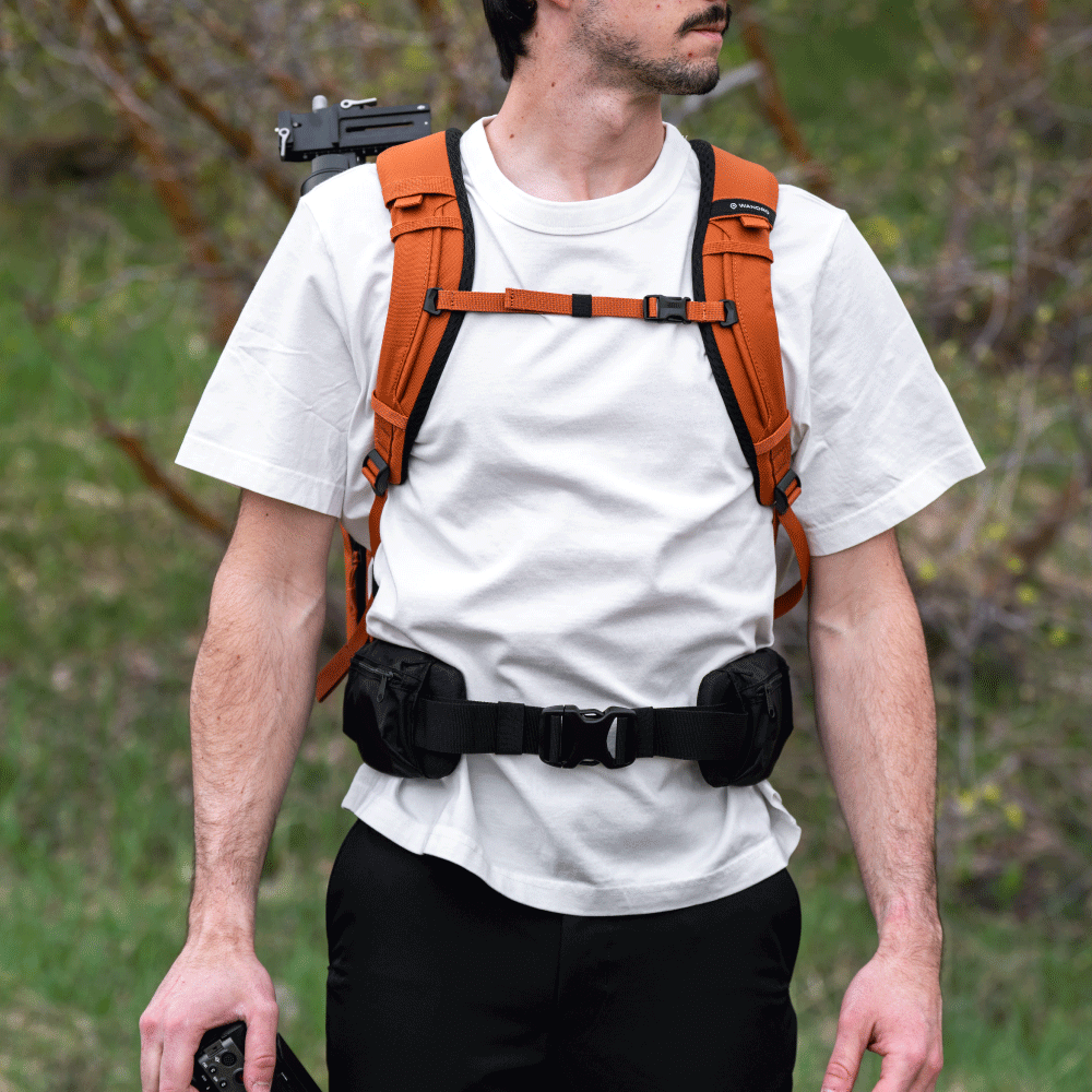 WANDRD Waist Belt V2