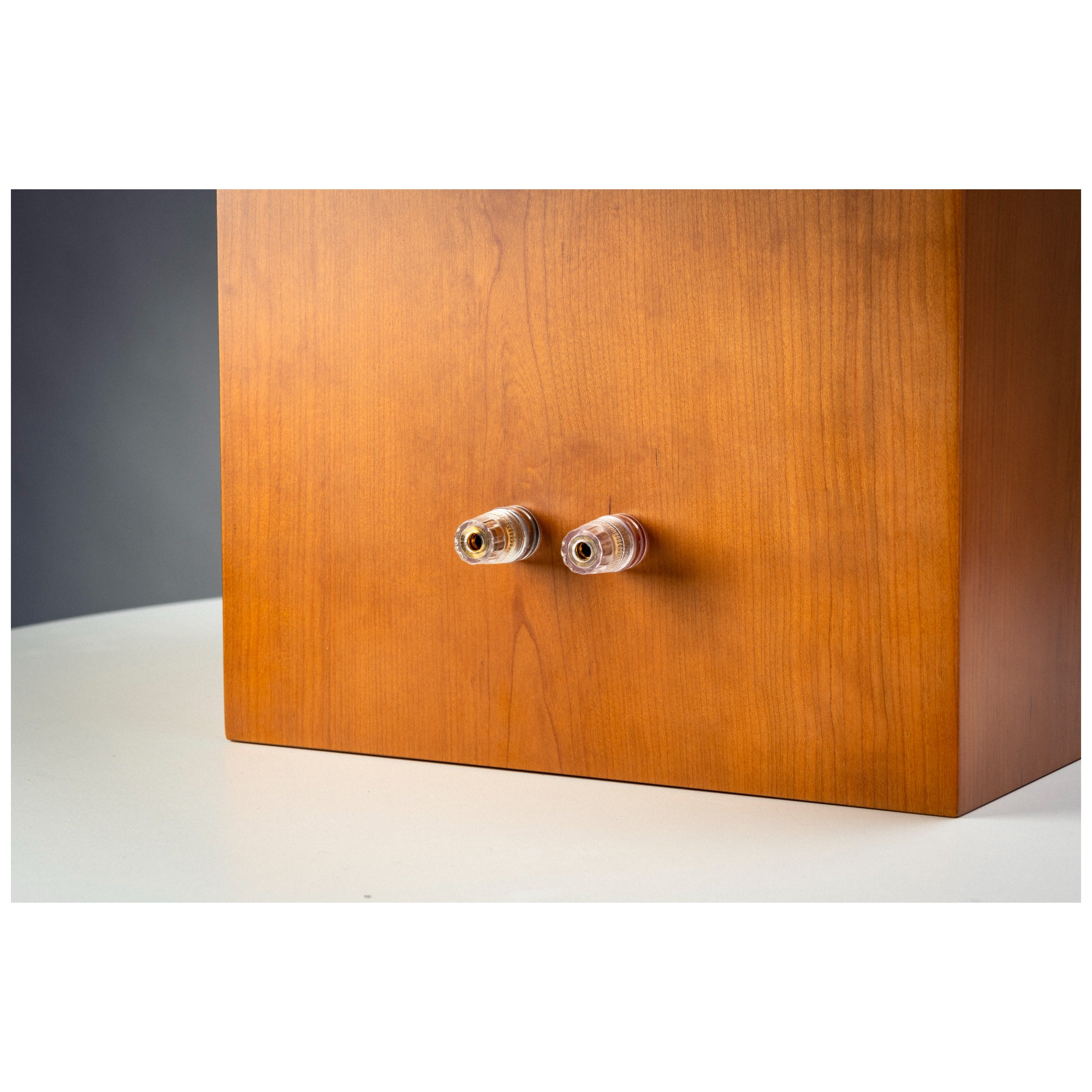 Musical Fidelity LS 5/9 Classic Monitor Speaker BBC Loudspeaker Monitor