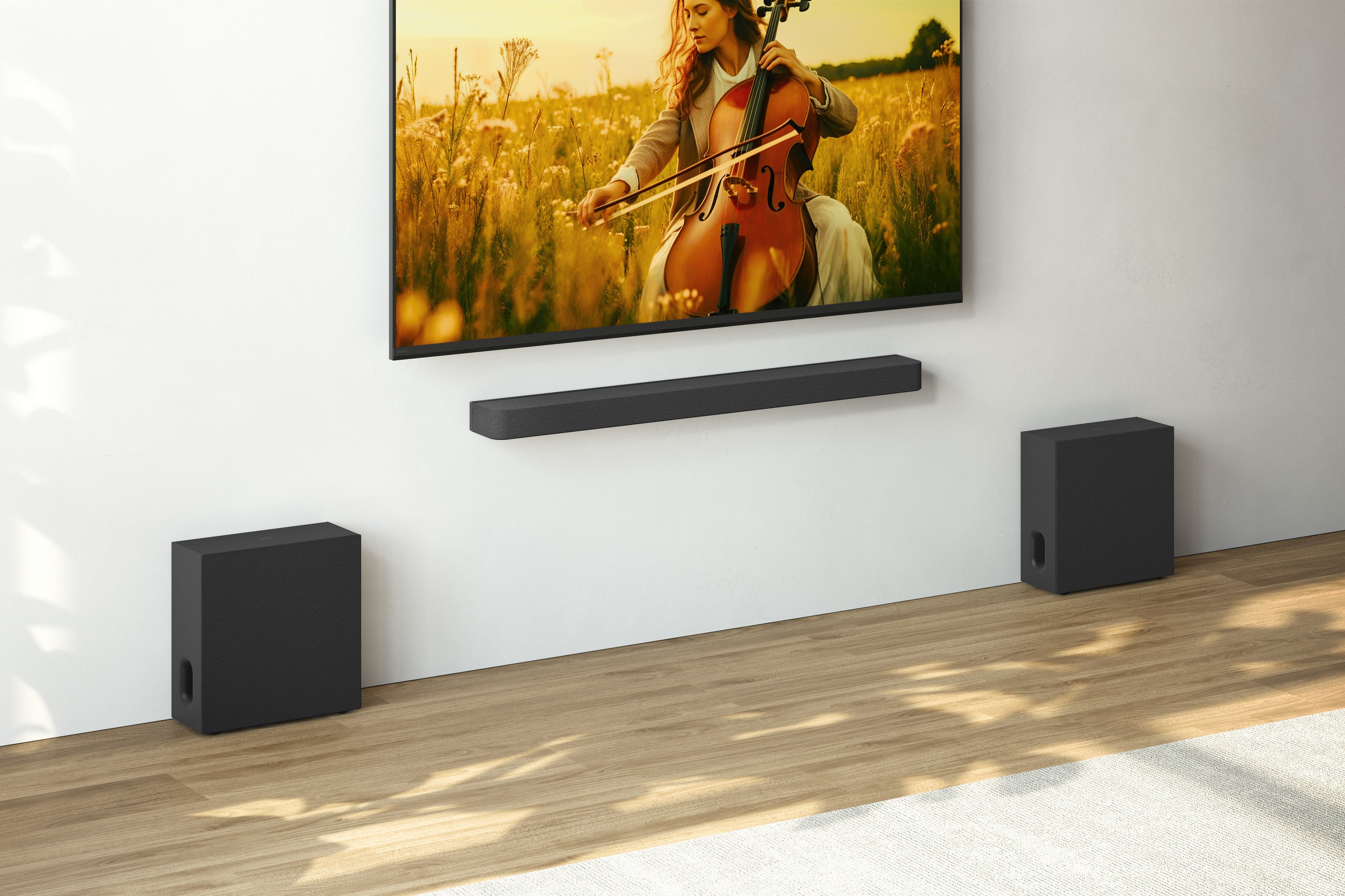 Sony SASW7 Bravia Sub 100W Additional Wireless Subwoofer
