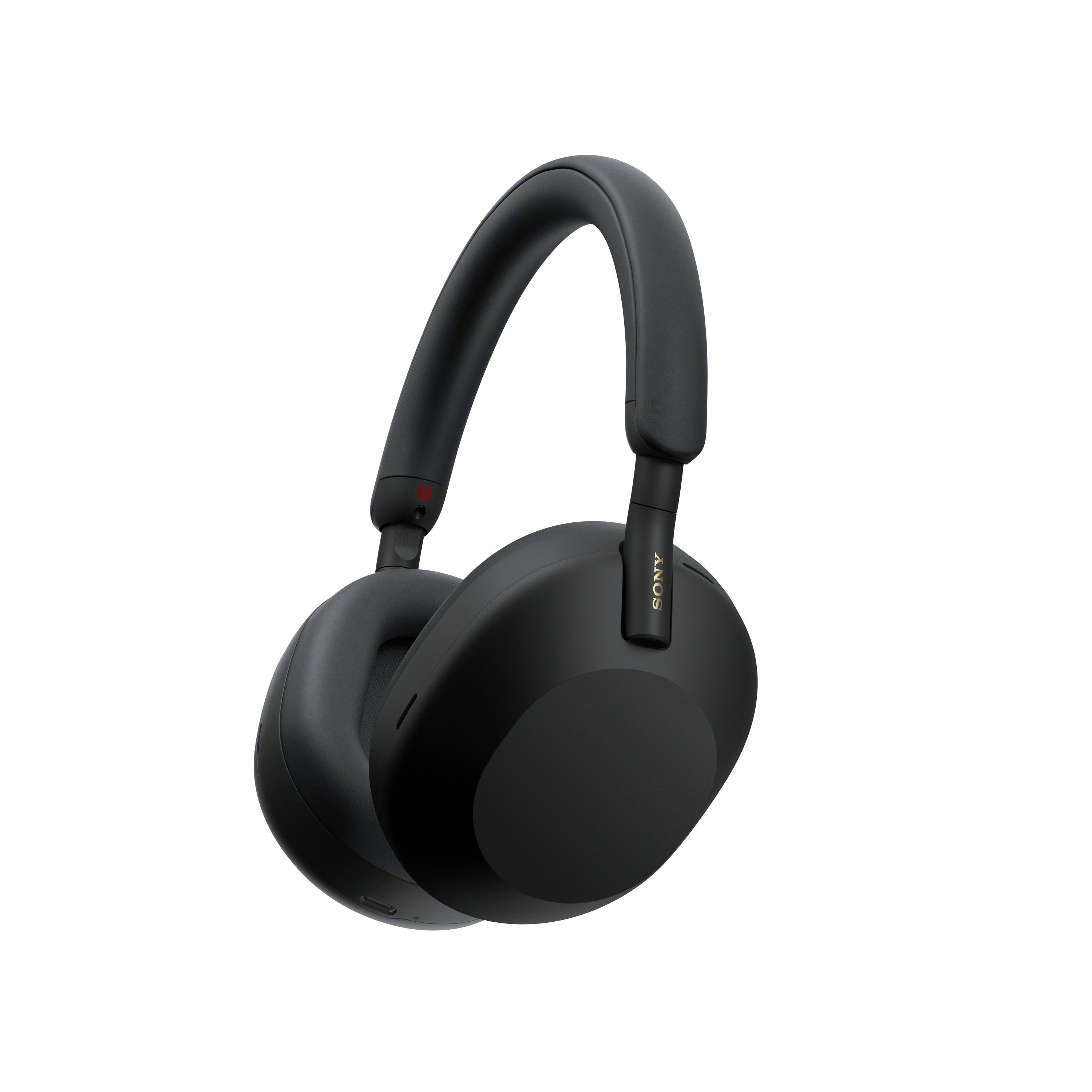 ヘッドフォン Smart-Com Headset (Standard) (Grey) (SMH-8286-01) |RC
