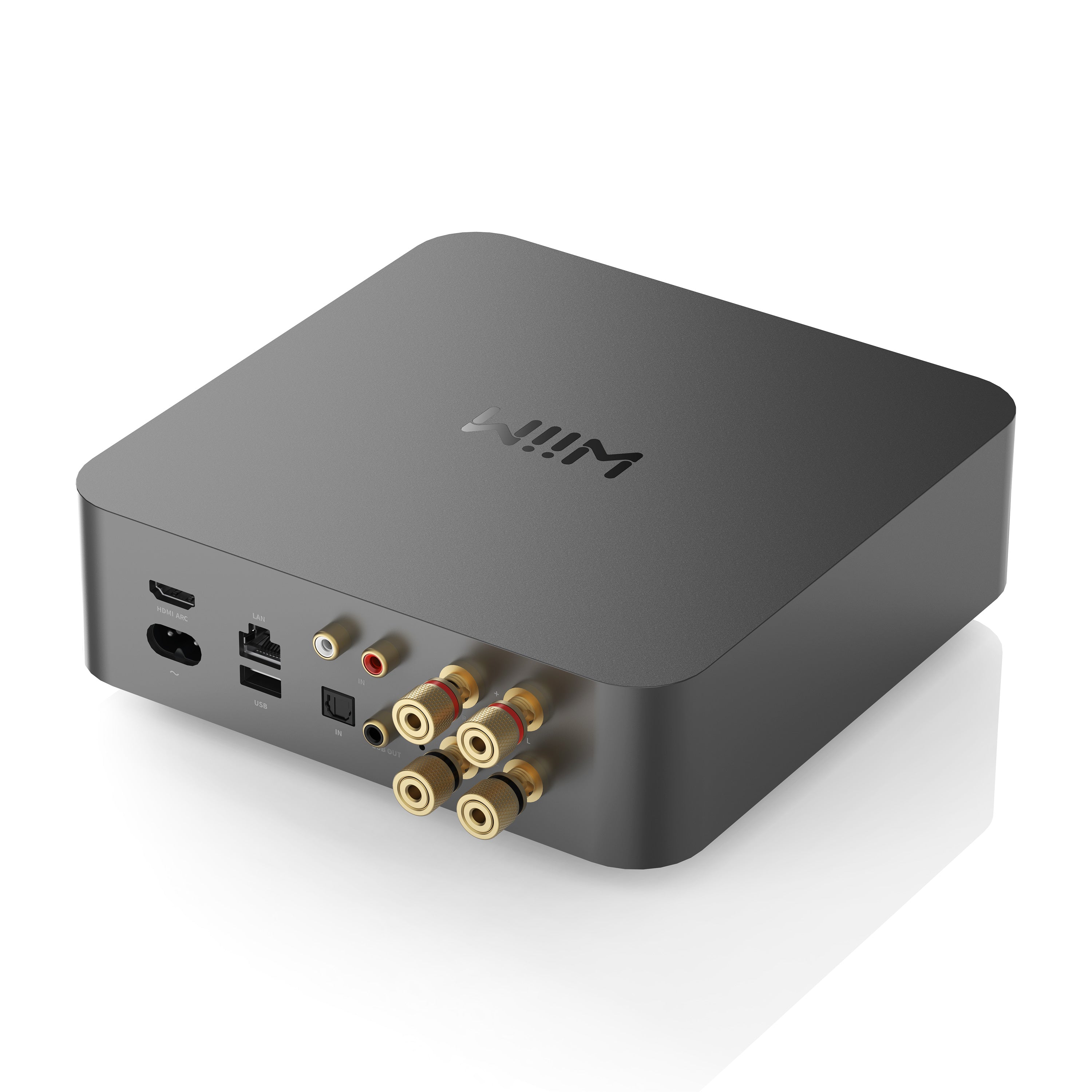 Amazon.com: WiiM Amp Pro: Multiroom Streaming Amplifier