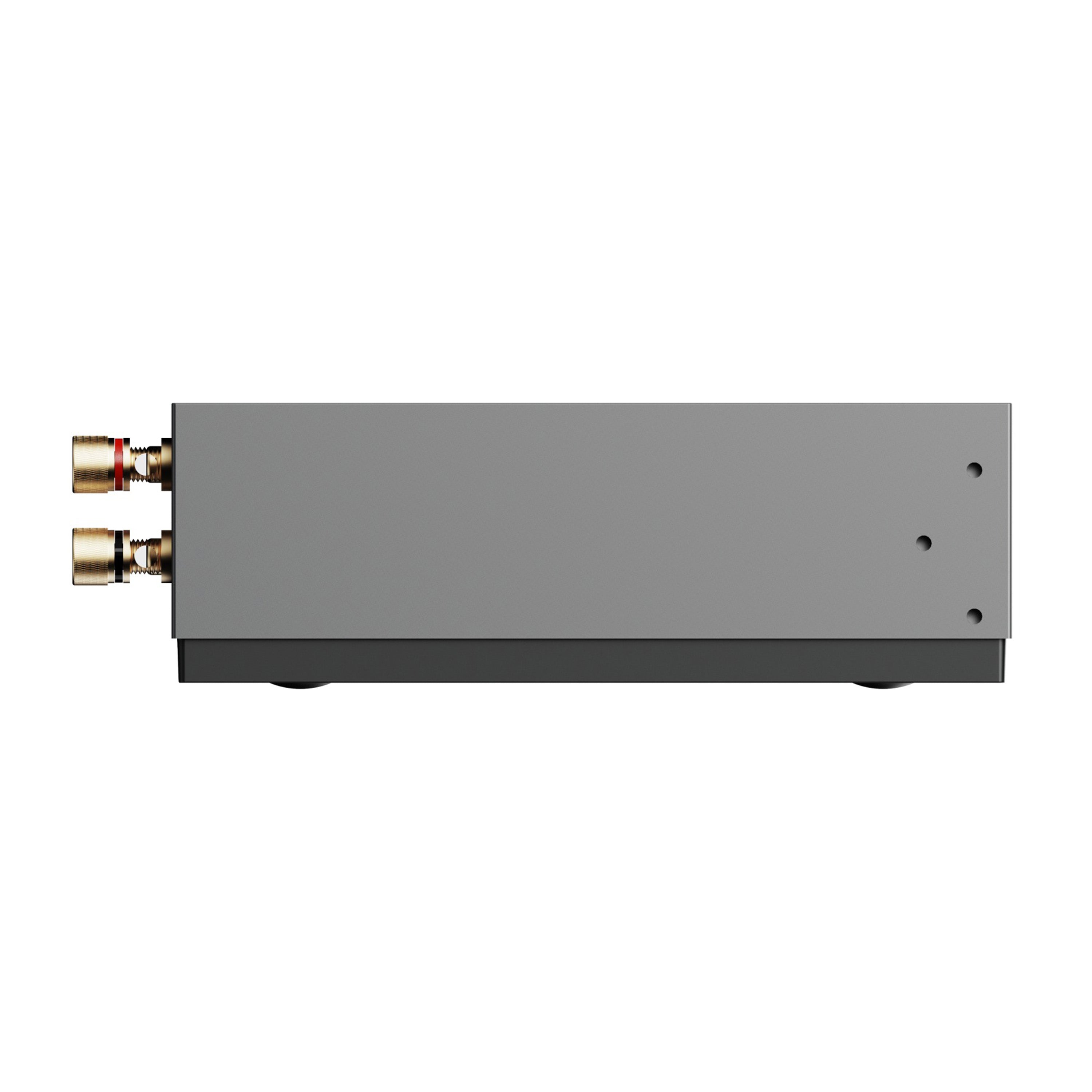 WiiM CI Mod A80 CI Streaming Amplifier