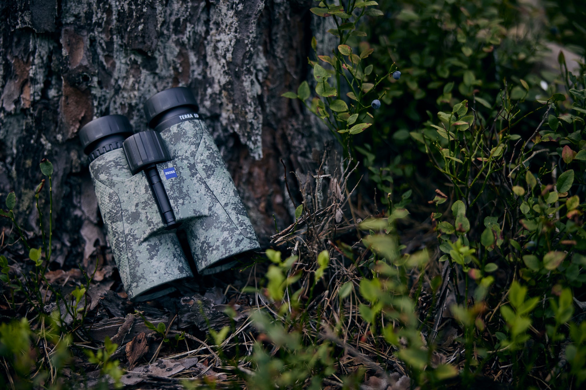 Zeiss 10x42 Terra ED Binoculars